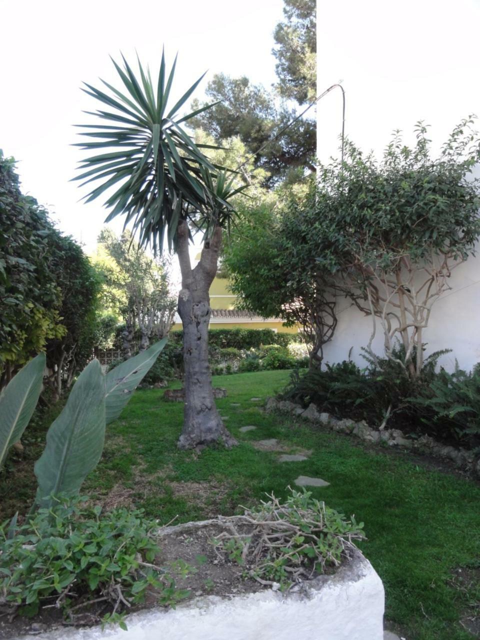 Apartamentos Elysium Torremolinos Exterior foto